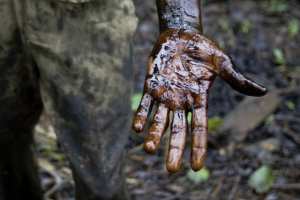 Planète - La République démocratique du Congo  (RDC) exploitera du pétrole dans des parcs naturels