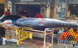 Lettre au Tribunal de Justice de Boufarik ( Sedira Nacer ) Reiterée le 6 Juillet 2018