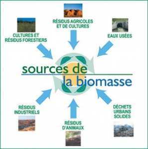 Energie renouvelable   LA BIOMASSE