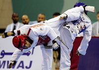 Omnisports                                    Taekwondo/ 2e Symposium sur la traumatologie sportive