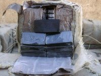 Un kilo de cannabis saisi dans un bus                                    Koléa