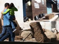 Chassez l'informel, il revient au galop                                    A l'approche de l'aïd El Adha