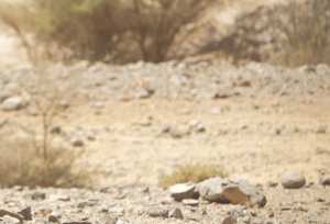 TAMANRASSET - Des sites touristiques dévastés par des carrières illicites