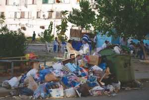 Oran - RAMASSAGE DES ORDURES MÉNAGÈRES À ARZEW:  Le lixiviat pollue l’environnement