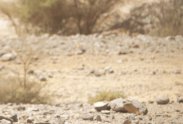 TAMANRASSET - Des sites touristiques dévastés par des carrières illicites