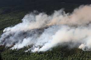 Planète - Températures record et incendies de forêt dans l’hémisphère Nord