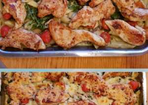 نودلز بصوص كريمة الفطر و الدجاج