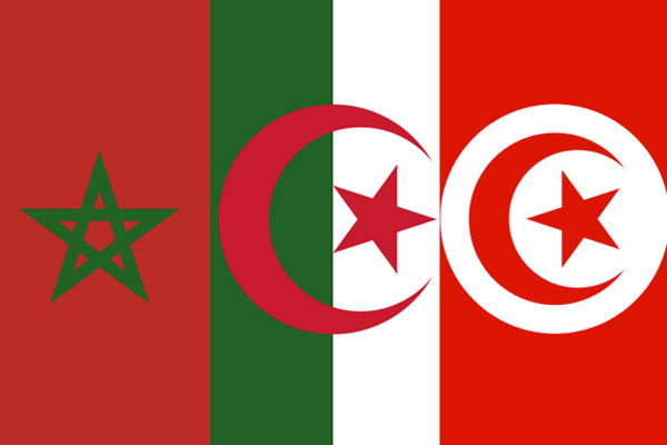 Coupe du Monde: L’Algérie réitère son appel à la Tunisie et au Maroc