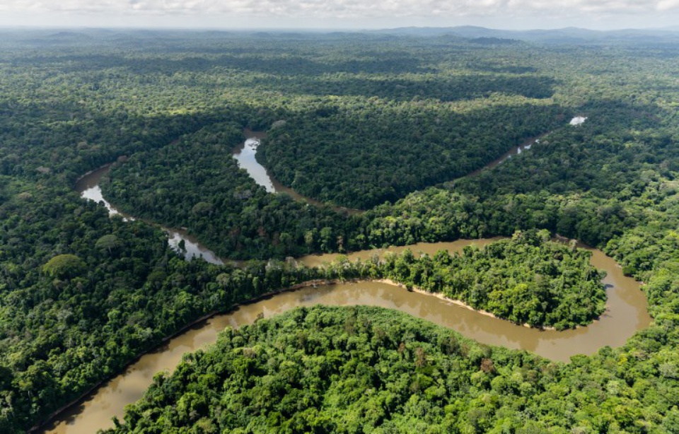 Planète - Deux cent sept défenseurs de l’environnement tués en 2017, affirme une ONG