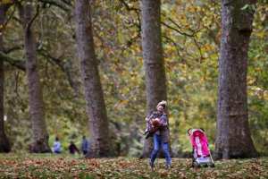 Les arbres rafraîchissent l’air des villes tout en réduisant leur pollution