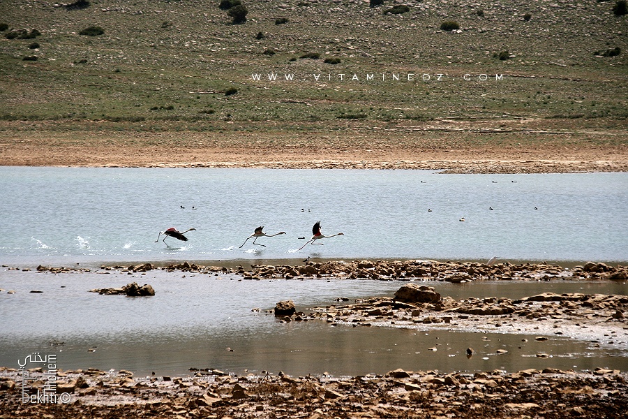 Tlemcen: Le barrage Mefrouch, un site incontournable