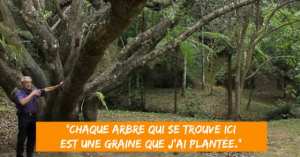 DÉFORESTATION : CE BRÉSILIEN A REPLANTÉ 50 000 ARBRES TROPICAUX EN 40 ANS