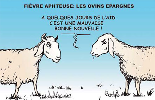 Tlemcen : campagne de sensibilisation sur la fièvre aphteuse