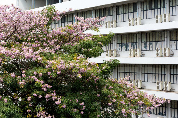 RÉCHAUFFEMENT CLIMATIQUE : VOICI COMMENT SE PASSER DES CLIMATISEURS