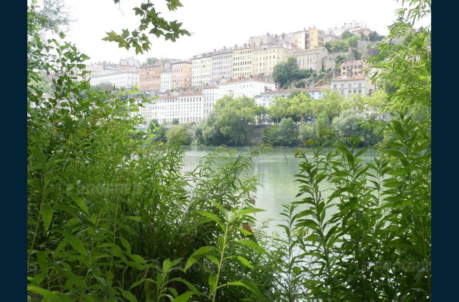 Planète - Lyon, classée ville la plus saine de France