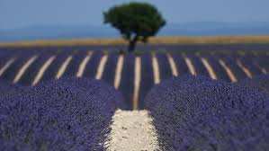 Planète (France) - Une plainte pour inaction climatique jugée recevable: l'espoir d’ une décision qui s'apparente à celle de Monsanto