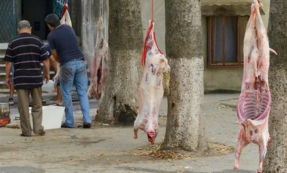 Mila -  une journée de sensibilisation pour un Aïd al-Adhâ sain et joyeux