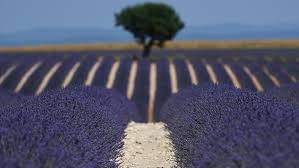 Planète (France) - Une plainte pour inaction climatique jugée recevable: l'espoir d’