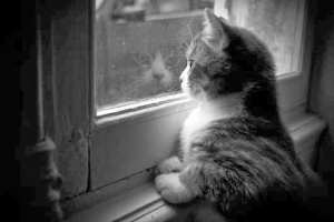 Tlemcen : Ces citoyens qui ne partent pas en vacances !