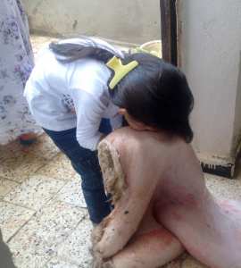 عادات متواترة لا تزال بحاجة إلى أبحاث واستقراءات عميقة الأمير آكسل والوَعيد عند إيشاويّن، وعادة مسح الوجوه بجلود الذبائح !