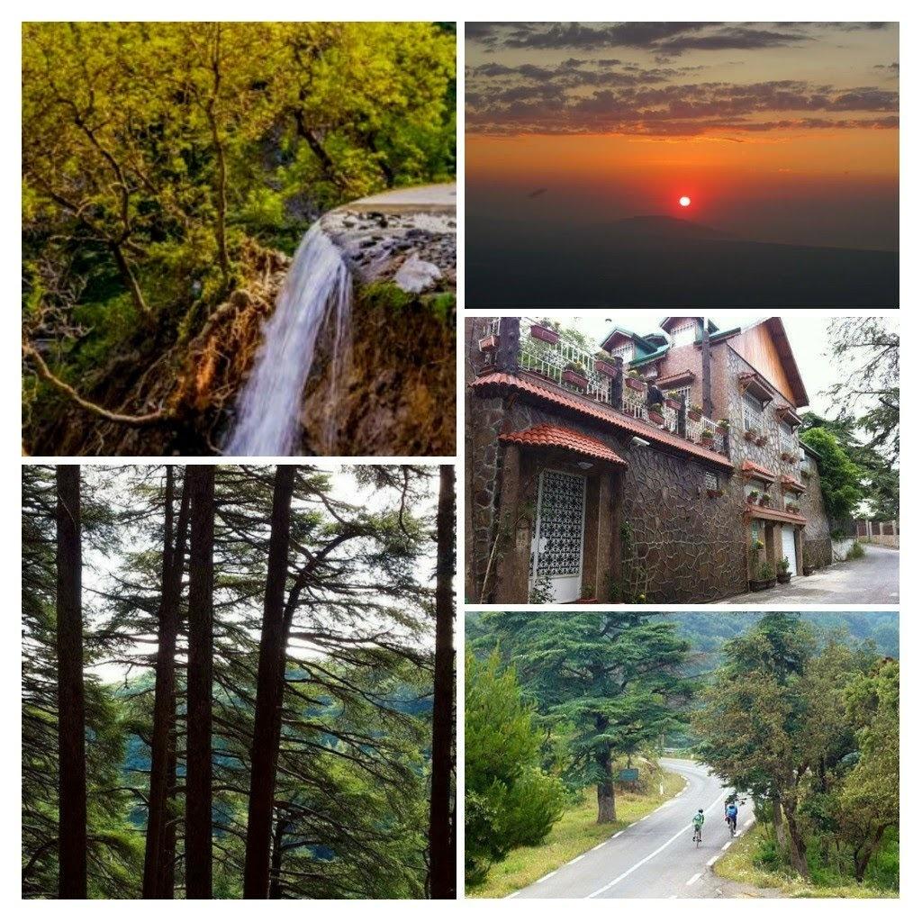 Excursion entre montagnes et plateaux :  Chréa... !