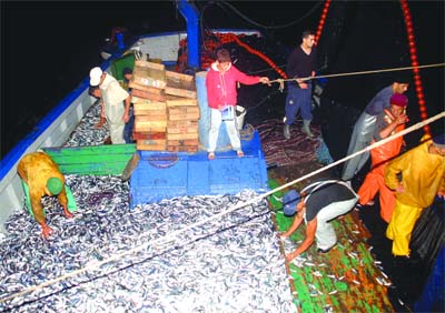 «Des pêcheurs algériens prochainement en Mauritanie»