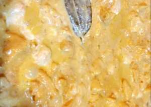 ايدام مسالا الدجاج