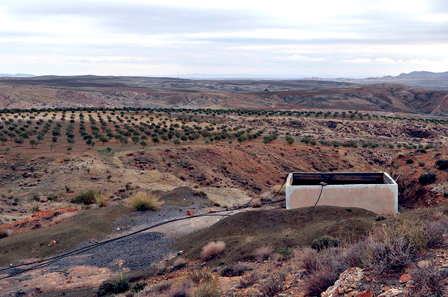Bouira - Le sud de la wilaya menacé par la désertification 