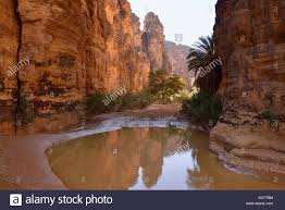 Illizi -  les Oueds du Tassili N'ajjer, destination privilégiée des touristes