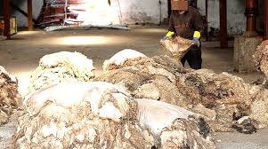 Constantine - Satisfecit du directeur de l'industrie 