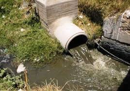 ILS IRRIGUAIENT LEURS CHAMPS AVEC DES EAUX POLLUÉES:  Deux agriculteurs arrêtés à Boufarik