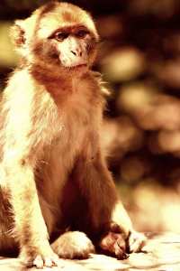 CE N'EST PAS LE TOURISME QUI EST ENNEMI DE L'ENVIRONNEMENT EN ALGÉRIE, MAIS BIEN CEUX QUI L'EXPLOITENT ET LE CONSOMMENT SANS ÉDUCATION...