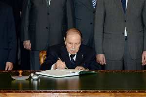 ﺃﺻﺤﺎﺏ ﻋﻘﻮﺩ ﻣﺎﻗﺒﻞ ﺍﻟﺘﺸﻐﻴﻞ سيرسمون مع بداية 2019