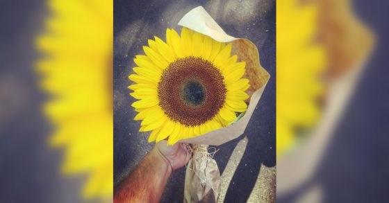 IL OFFRE UN TOURNESOL À UNE INCONNUE EN DEUIL. UNE HISTOIRE TOUCHANTE.