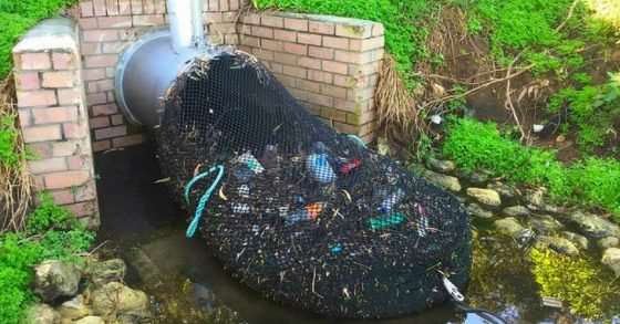 AUSTRALIE : DES COLLECTEURS DE PLUIE RETIENNENT LES DÉCHETS DANS LES ÉGOUTS