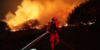 Planète - France: «Le plus grand défi de l’histoire de l’humanité»: l’appel de 200 personnalités pour sauver la planète