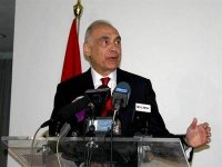 L'Egypte approuve la position de l'Algérie vis-à-vis de la situation dans le nord du Mali (ministre égyptien)