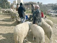 Elles sont pourtant censées nous apporter joie et plaisir                                    Pourquoi nos fêtes sont-elles si insipides '