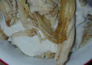 فتته الدجاج