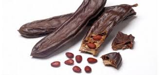 L’ACTIVITÉ A REPRIS EN RAISON DU PRIX ATTRACTIF DE CE FRUIT. Béjaïa: renaissance de la cueillette de la caroube