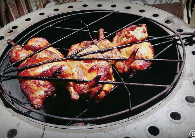 دجاج بلتنور العراقي