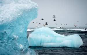 Planète - Climat: Villes et régions du monde entier se mobilisent à San Francisco