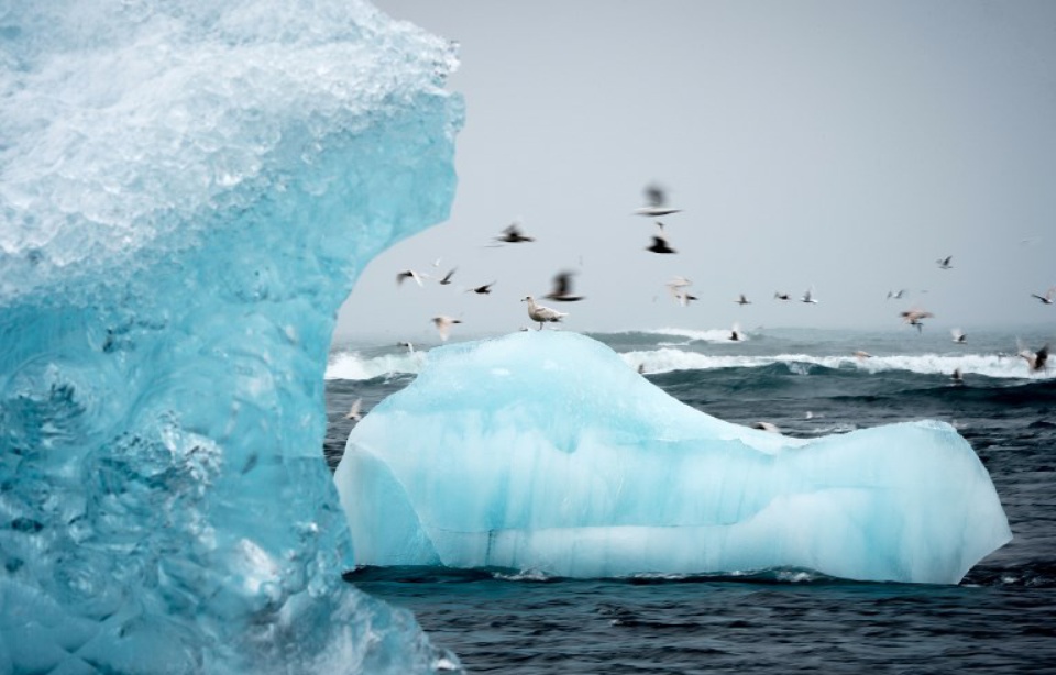 Planète - Climat: Villes et régions du monde entier se mobilisent à San Francisco