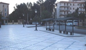 الأفلان والأرندي يدخلان بقوة لتمثيل المجالس الشعبية البلدية: “الشكارة