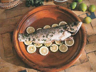 LOUP à la CORIANDRE