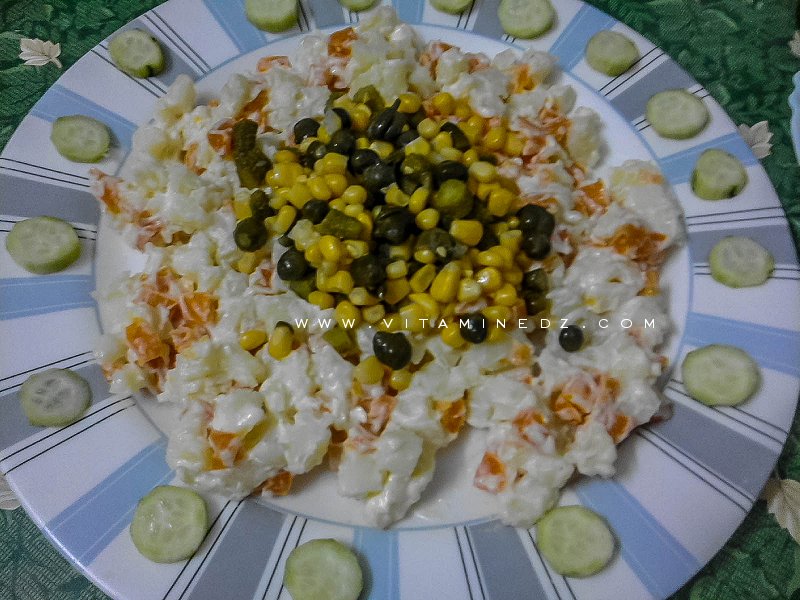 Macédoine : Riz, Thon, maïs et cornichon