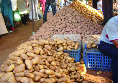 La pomme de terre à 100 DA, qui dit mieux '