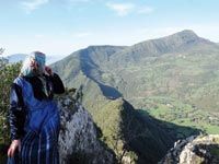 Après les incendies de forêt                                    Kabylie : l'Etat va attribuer 500 000 oliviers de compensation
