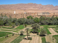 In-Salah (Tamanrasset)                                    Place à l'agriculture