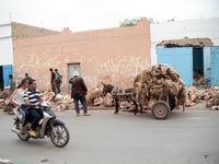 A l'initiative de ness el-kheir                                    Collecte de peaux de mouton à Médéa